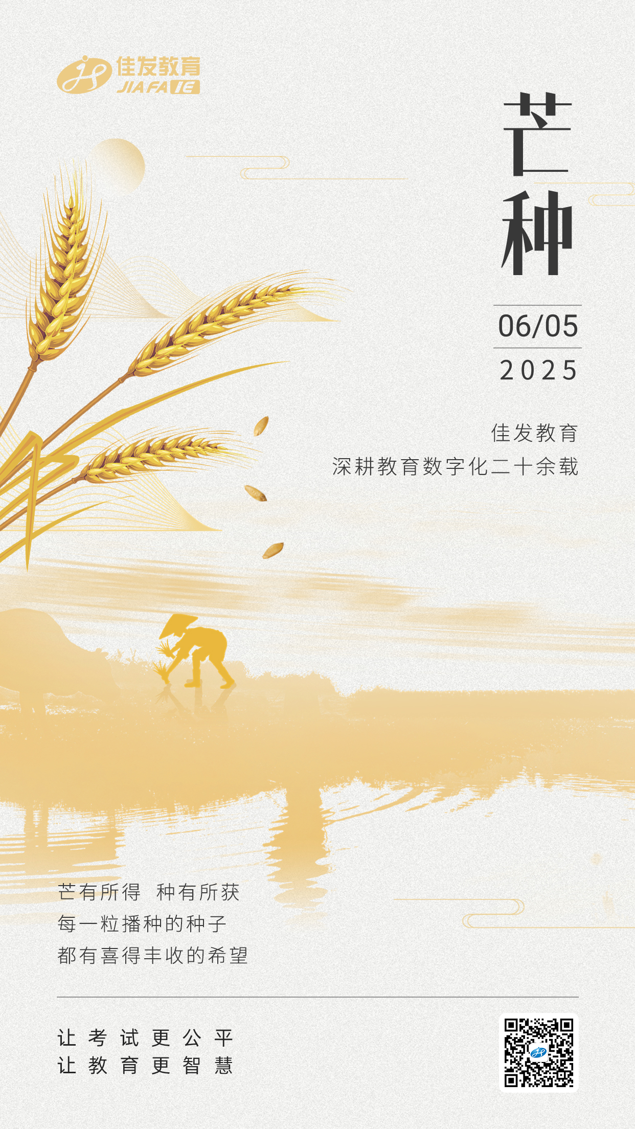 芒种  有码.png